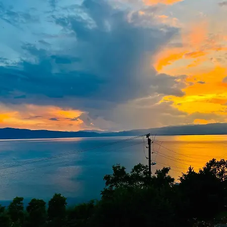 Pupa , Elesec Ohrid